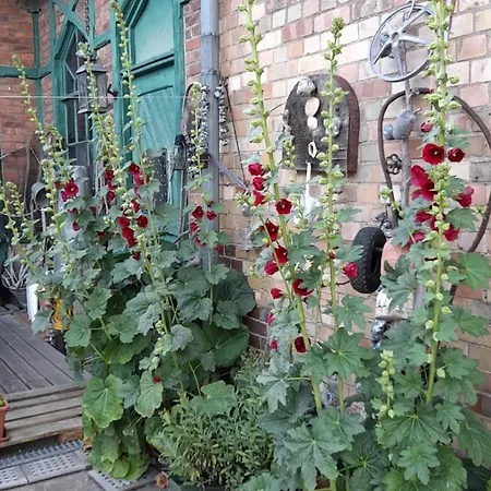 Sonnige Hafen In 公寓