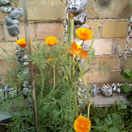 Διαμέρισμα Sonnige Hafen In *