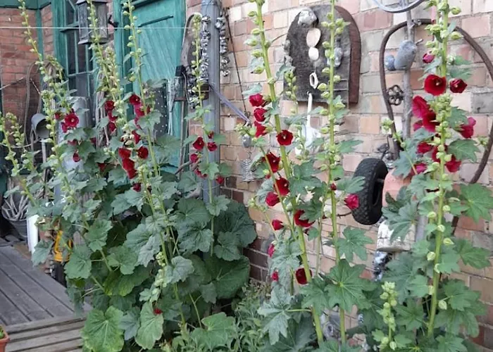 Sonnige Hafen In Apartment